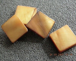 Snäckskalspärlor - Kvadrat - Brun - 10st