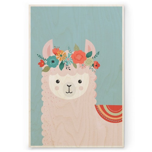 Llama