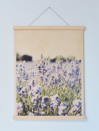 Lavendel