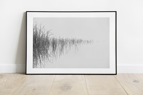 Reflektion av gräs - Poster i svartvitt