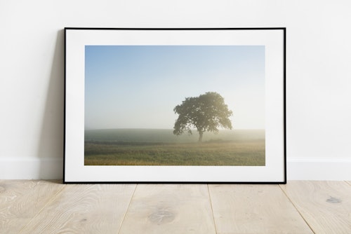 Vårkänslor Print