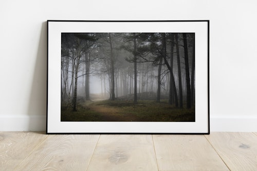 Hagestad Misty Forest Print