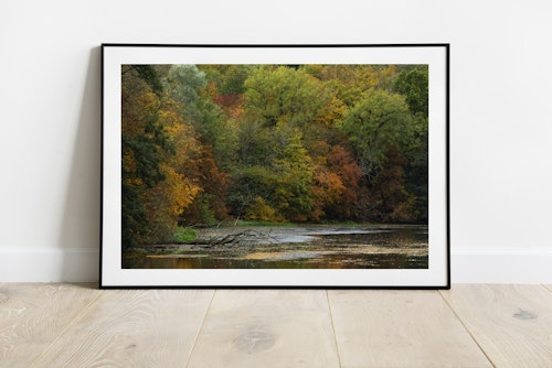 Autumn Print