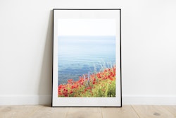 Vallmo Print