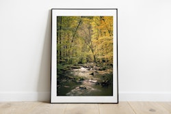 Skäralid Print