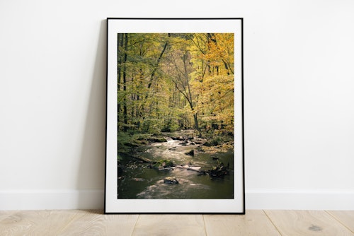 Skäralid Print