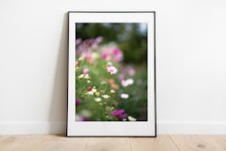 Blomma Örnahusen poster