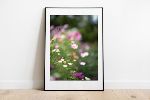 Blomma Örnahusen poster