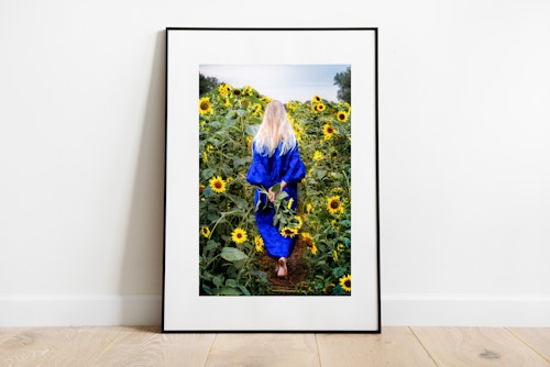 Solrosor Köpingebro Print