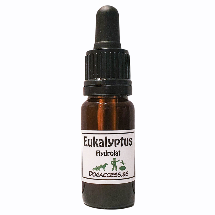 Hydrolat Eukalyptus 10 ml för Nose Work-J