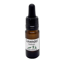 Hydrolat Lavendel 10 ml för Nose Work