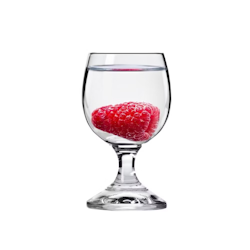 Snapsglas Balance 4,5cl H80mm, 6st/frp FRANKHUGO
