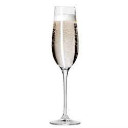 Champagneglas Harmony 20cl H242mm, 6st/frp FRANKHUGO