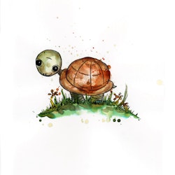 Print Baby Animals - Sköldpaddan Morgan