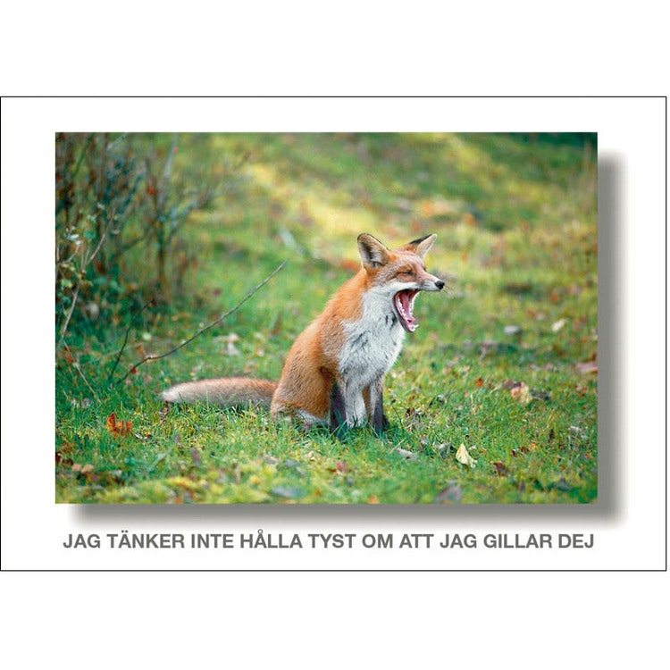 Jag tänker inte hålla tyst om att jag gillar dej