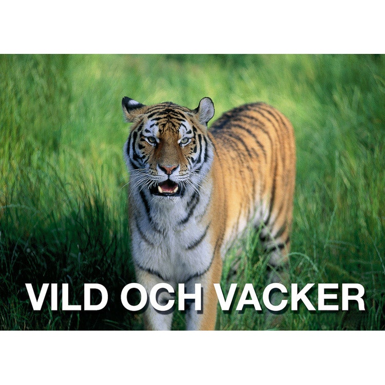 Vild och vacker