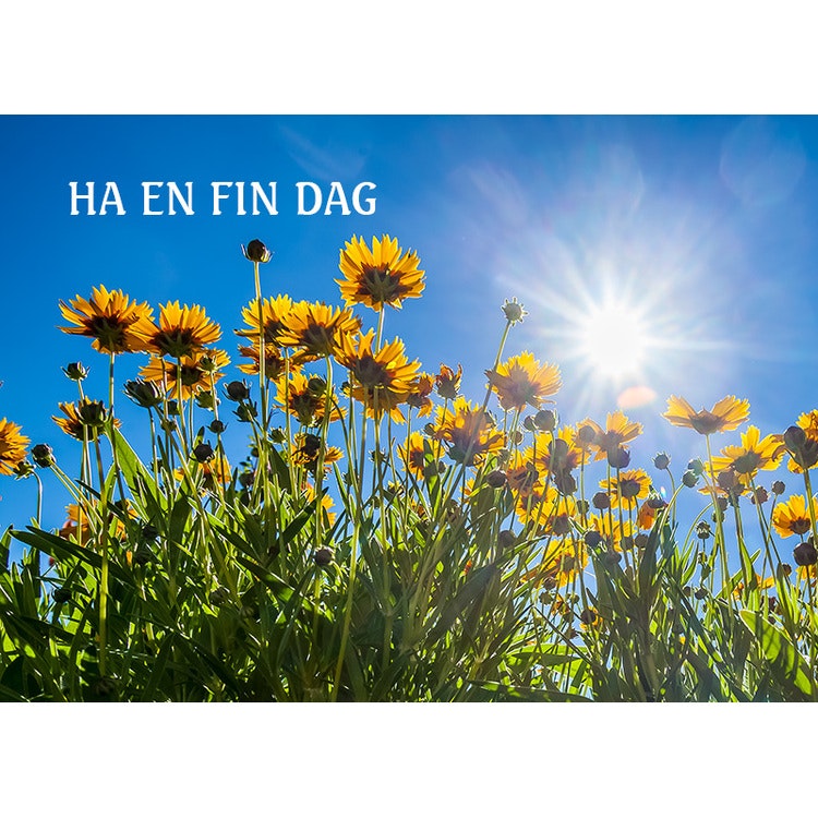 Ha en fin dag