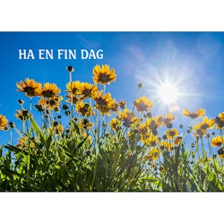 Ha en fin dag