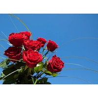 Röda rosor mot blå himmel