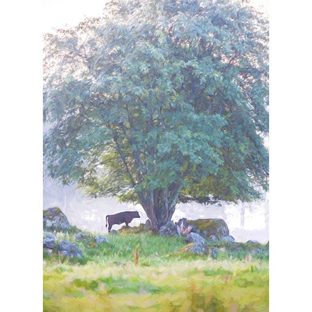 Tjur under träd (Ferdinand)