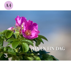 A4 kort - Ha en fin dag