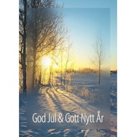 Julkort – God Jul Morgonsol