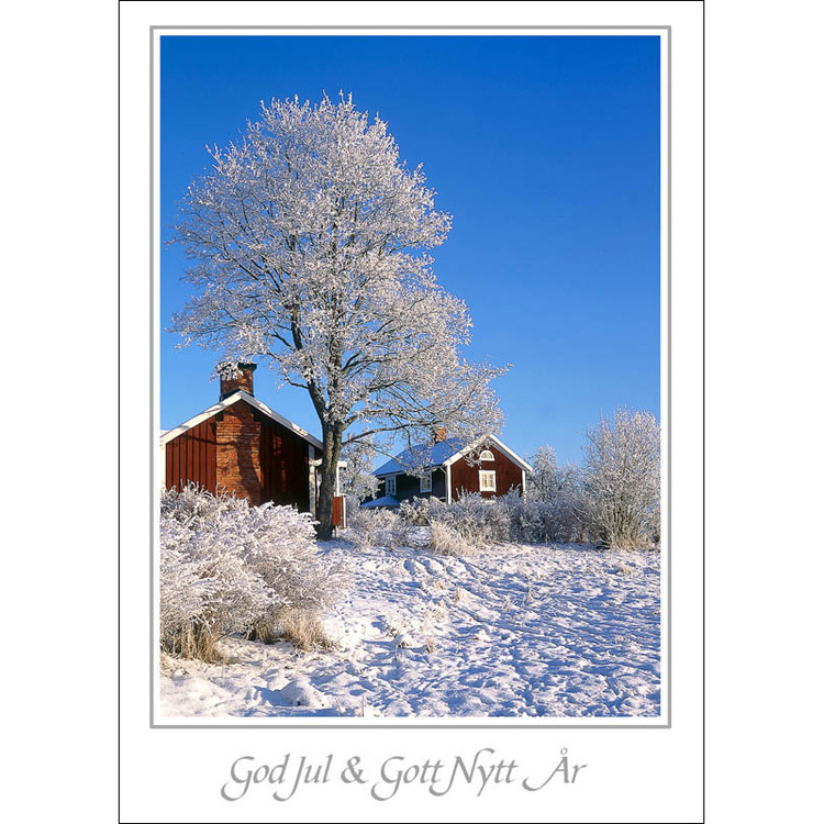 Julkort – Stuga i vinterlandskap