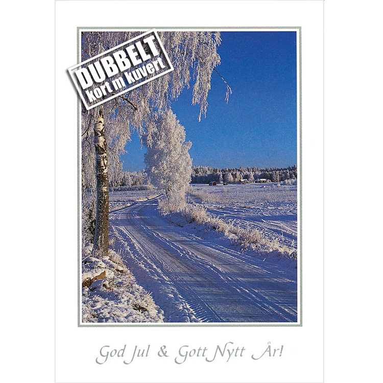 Vinterväg - Dubbelt julkort med kuvert