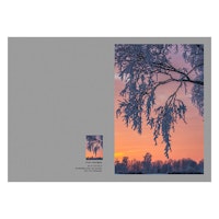 Dubbelt Julkort med kuvert - Frostig gren i solnedgång