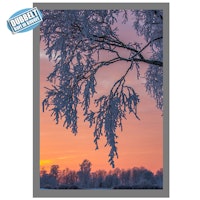 Dubbelt Julkort med kuvert - Frostig gren i solnedgång