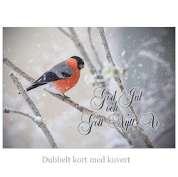 Dubbelt Julkort med kuvert - Domherre i snö