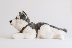 Husky med sele