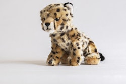 Gepard