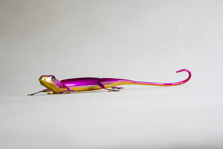 Gecko ödla rosa