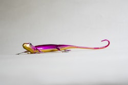 Gecko ödla rosa