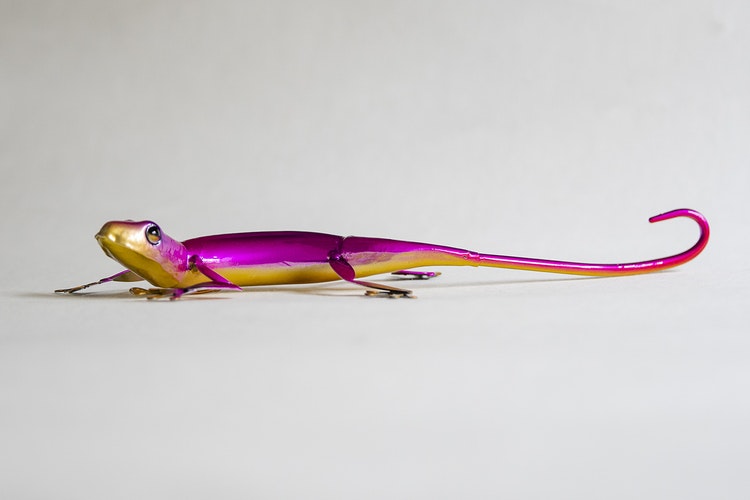 Gecko ödla rosa