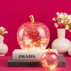 Glas Äpple med 20 ledljus