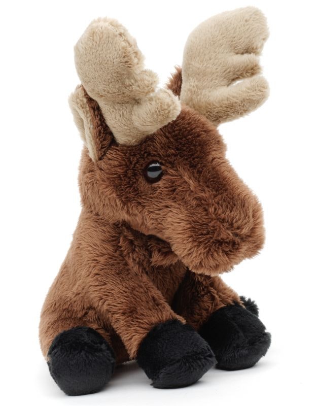 Älg