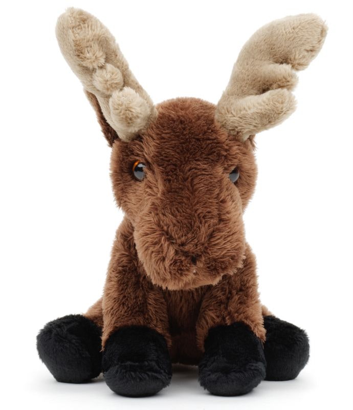 Älg
