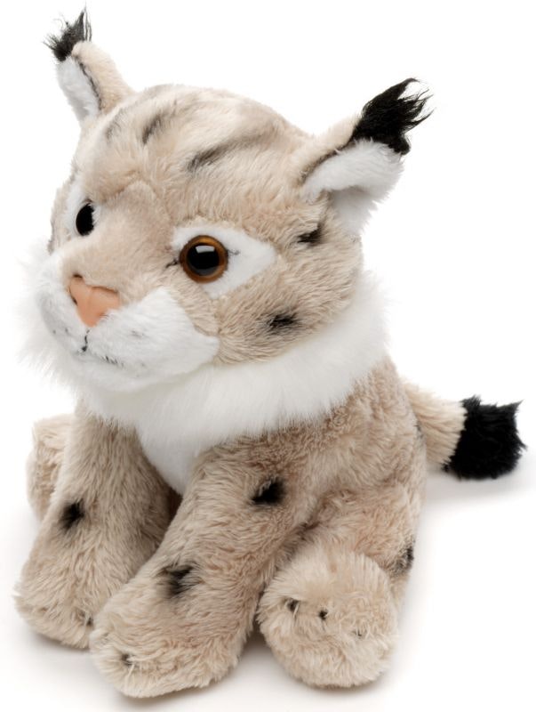 Lodjur Baby