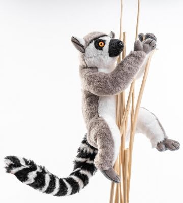 Lemur