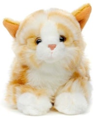 Katt liggande