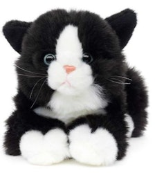 Katt liggande