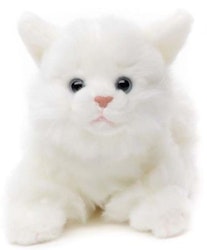 Katt liggande