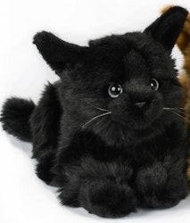 Katt liggande