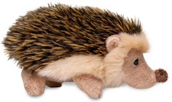 Igelkotte