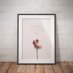 I Used To Love You Poster