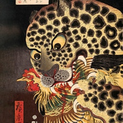 The Tiger of Ryōkoku Poster