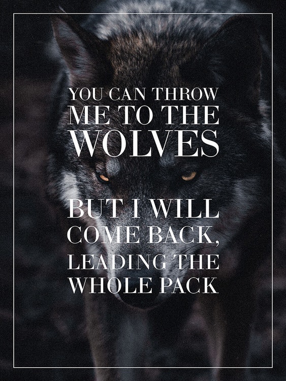 Wolf Poster