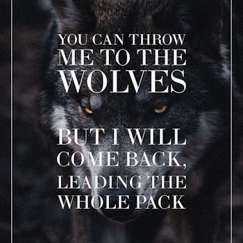 Wolf Poster